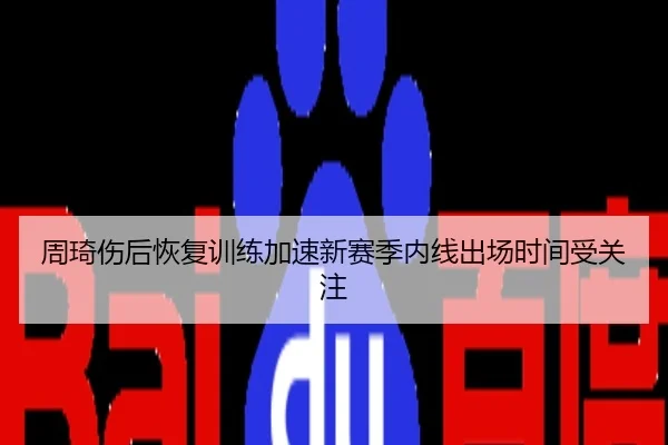 周琦伤后恢复训练加速新赛季内线出场时间受关注